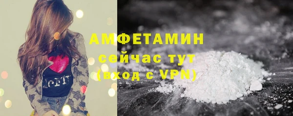 твердый Краснослободск