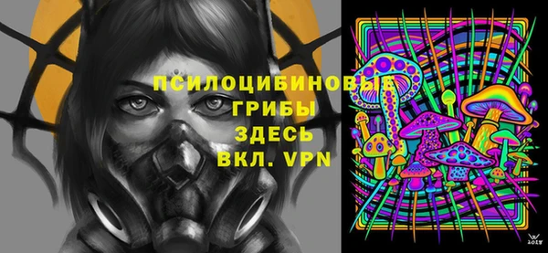 дживик Краснотурьинск