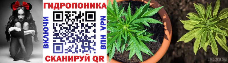 Купить  Жуков  Шишки марихуана Amnesia 